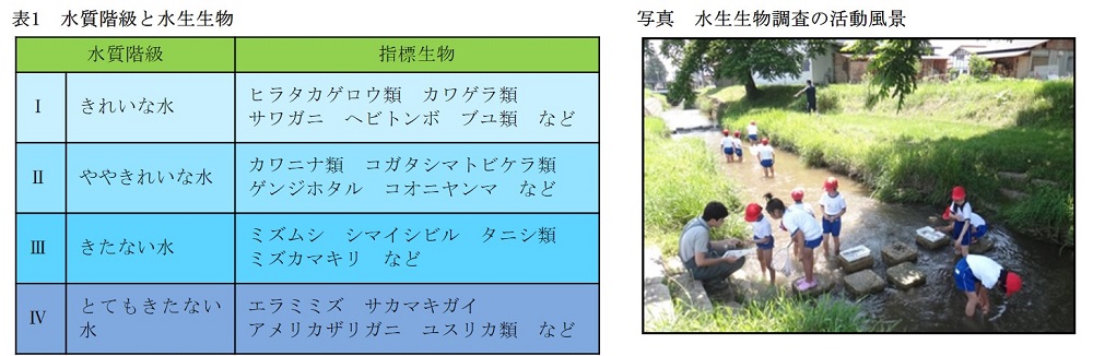 http://www.iwate-eco.jp/know/kanpoken20190601.jpg